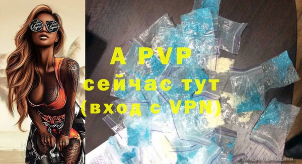 шишки Медногорск