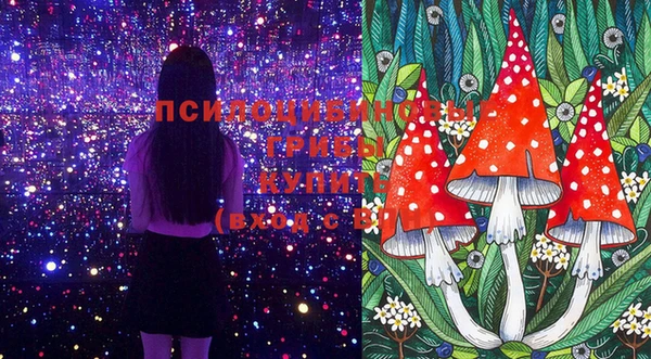 дмт Михайлов