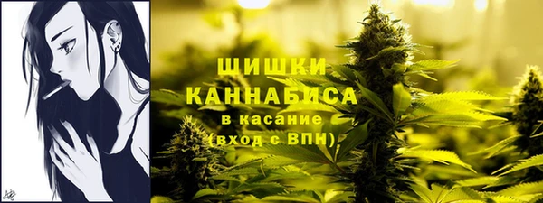 дмт Михайлов