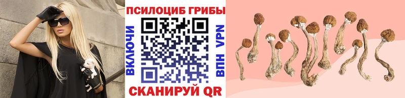 Галлюциногенные грибы GOLDEN TEACHER  darknet официальный сайт  Агрыз 